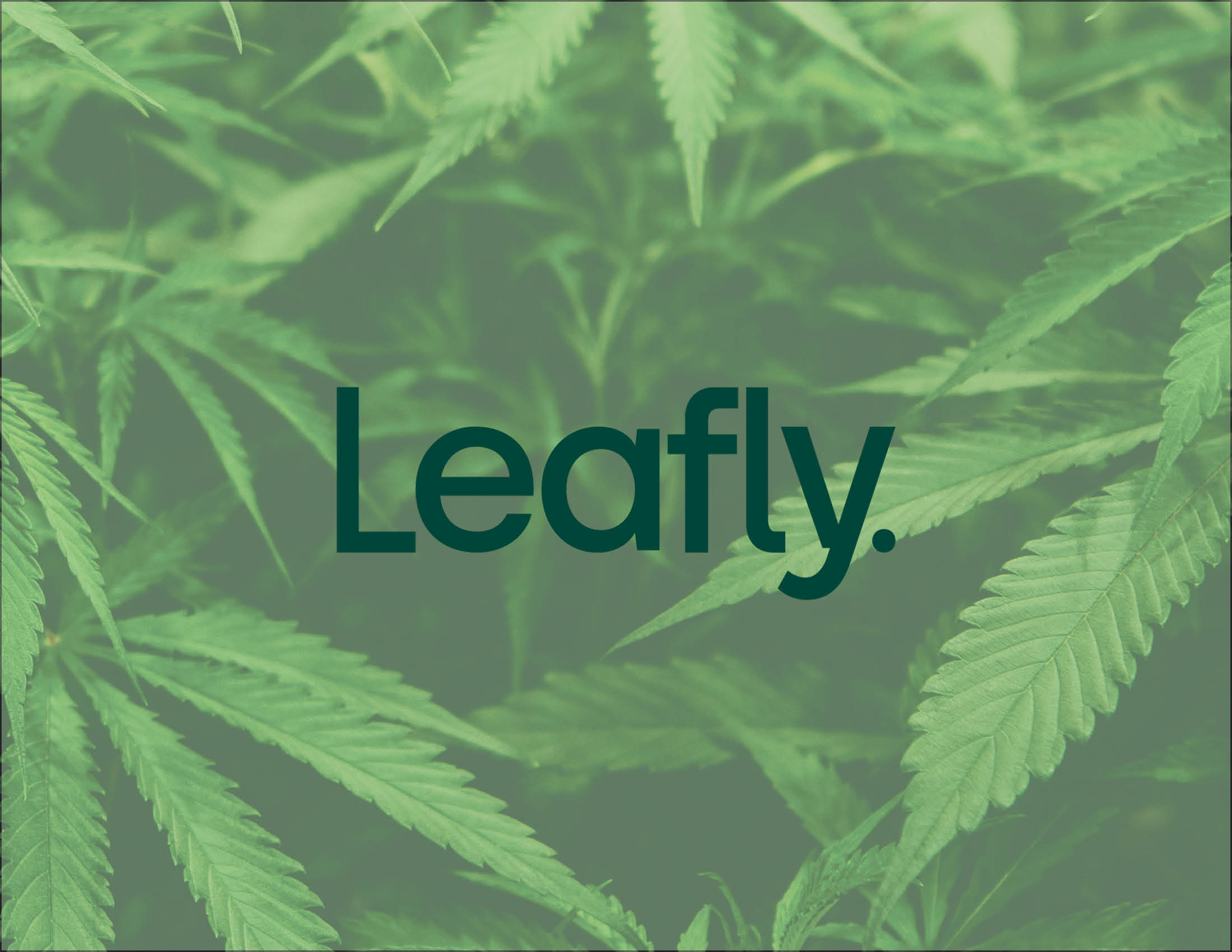Leafly | Campaign
